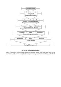 The cascade uncertainty