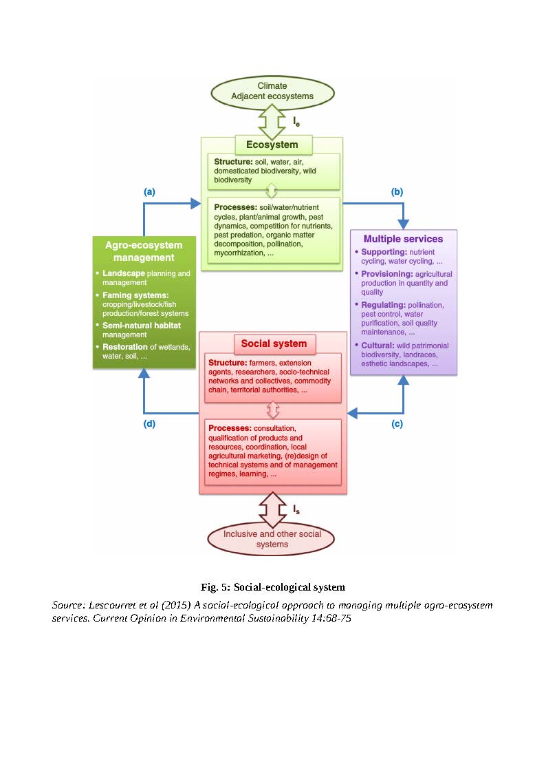 social ecological system